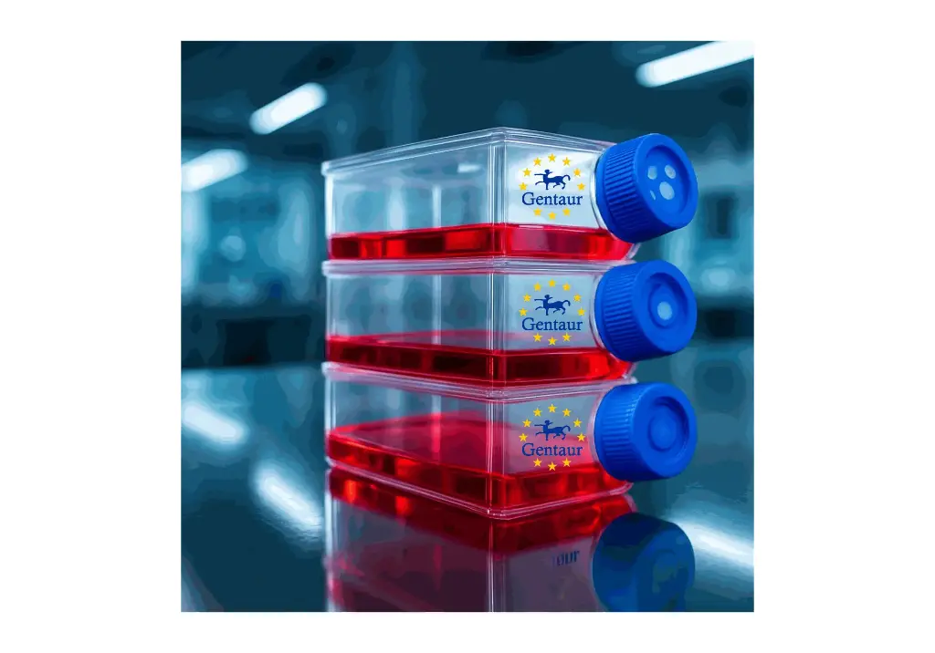 Primary RCEC Cell, Dog