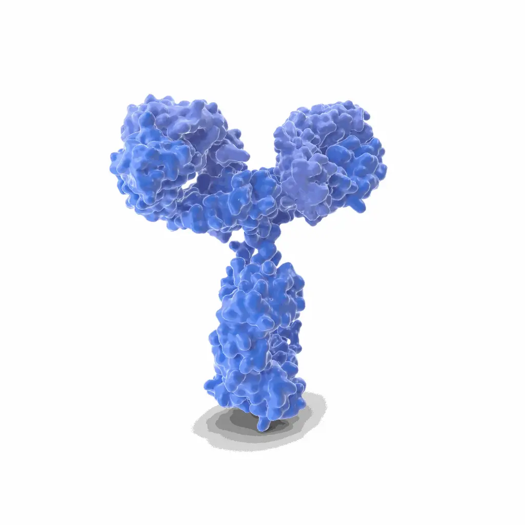 Gentaur PAb27 Monoclonal Antibody